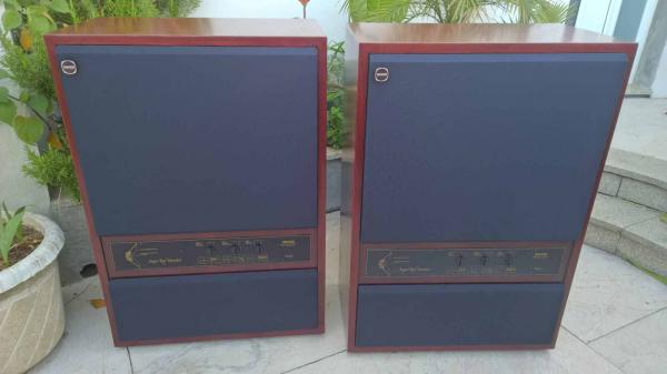 2 x Tannoy SRM Super Red Monitor 15