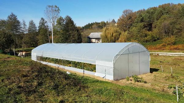TOP – Gewächshaus - Treibhaus BREITE von 6m, Länge bis 60 m - EU Produktion - Höhe Produktqualität + 1 x Tür + ALLE VERSTÄRKUNGEN