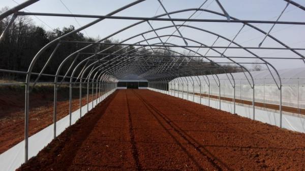 TOP – Gewächshaus - Treibhaus BREITE von 6m, Länge bis 60 m - EU Produktion - Höhe Produktqualität + 1 x Tür + ALLE VERSTÄRKUNGEN