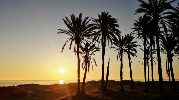 *SPANIEN > ein Apartment, für Ihre Reise einfach ideal - Costa Blanca.