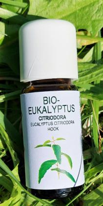 Eukalyptusöl bio 10 ml