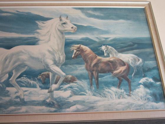 Altes Bild - Wilde Pferde - Druck - siehe Fotos - 107cm x 67cm