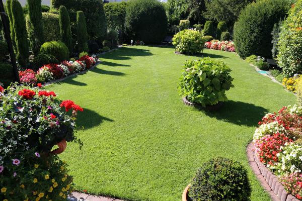 Gartenplanung - Design & Beratung