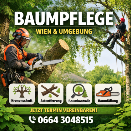 Professionelle Baumpflege in Wien