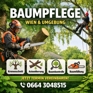 Professionelle Baumpflege in Wien